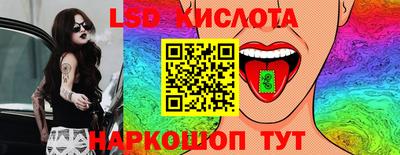 шишки Брянск