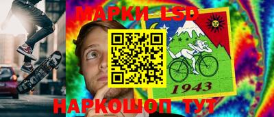 шишки Брянск
