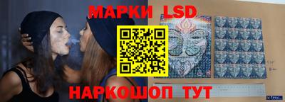 шишки Брянск