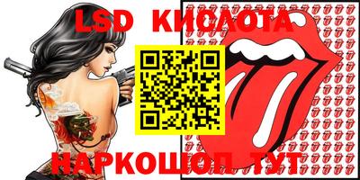 шишки Брянск
