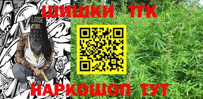 индика Братск
