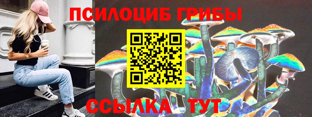 Псилоцибиновые грибы прущие грибы  Вход с VPN  Псилоцибиновые грибы Psilocybe  Воронеж 